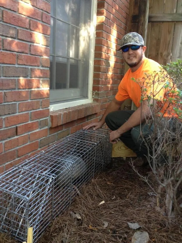 Armadillo Removal in Columbus, GA: Jarrod's technician kneeling beside a cage trap holding an armadillo next to a brick home