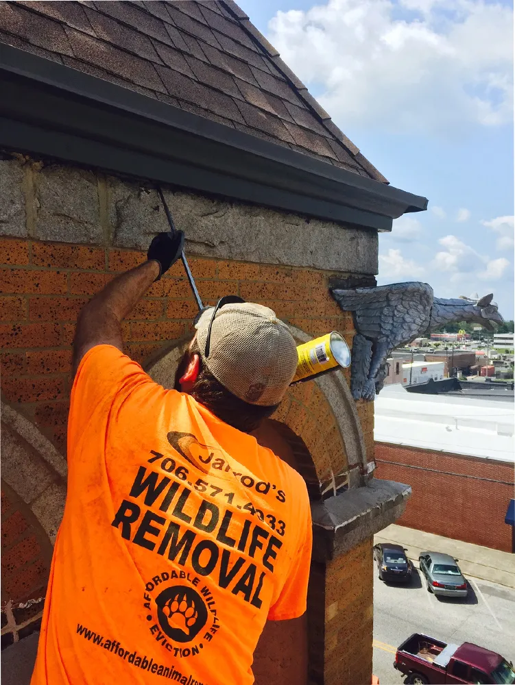 Bird Control in Columbus, GA: Jarrod's technician sealing an opening at the roofline of a downtown brick building