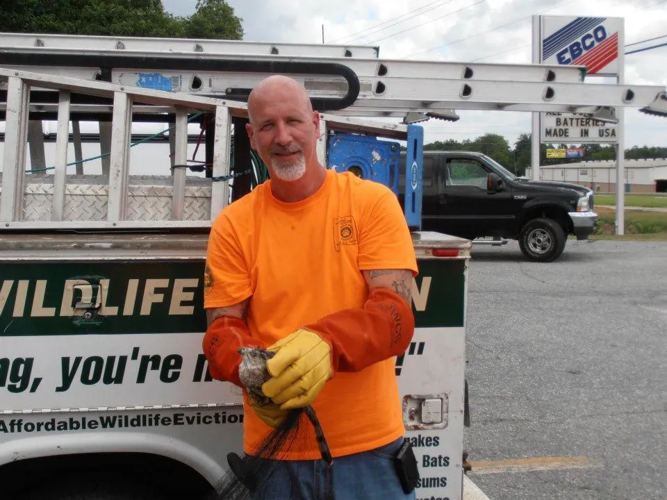 One of our early wildlife trucks, 2013.