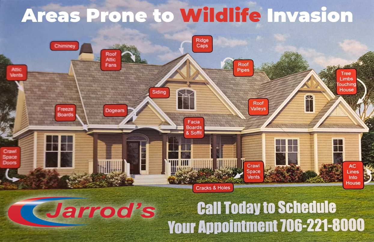 Jarrod’s Pest Control Columbus, GA and Alabama